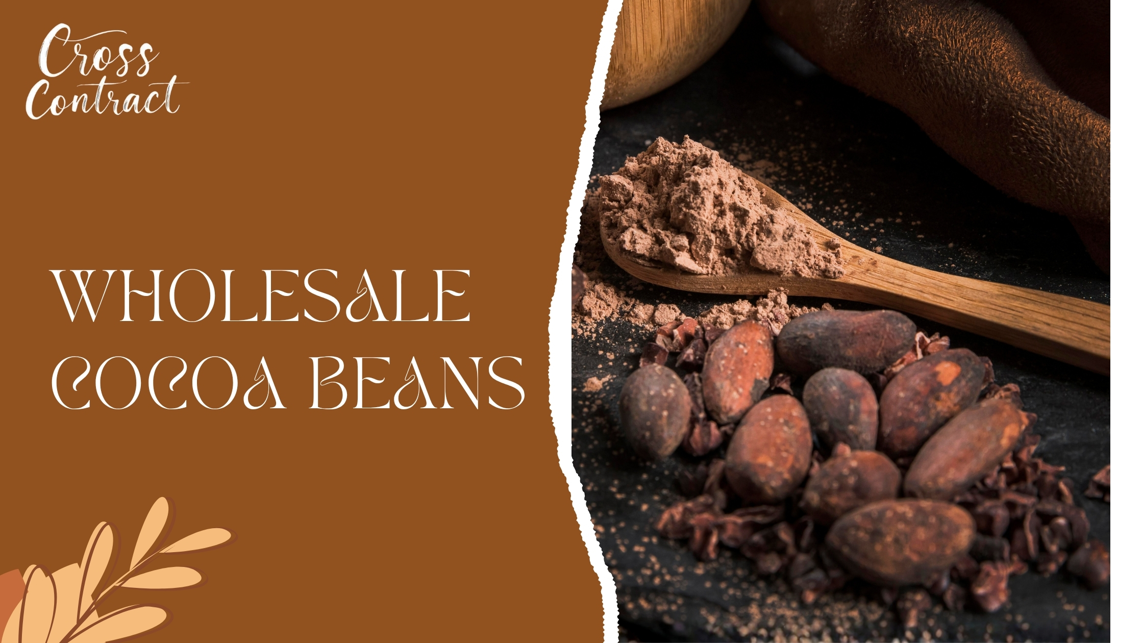 Why Wholesale Cocoa Beans Are Essential for Chocolate Manufacturers